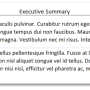 executive_summary.png